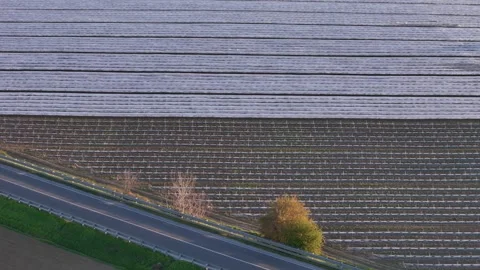 Low tunnel melon fields Via Emilia SS9 Alseno pullback tilt aerial pattern Video stock 333838745