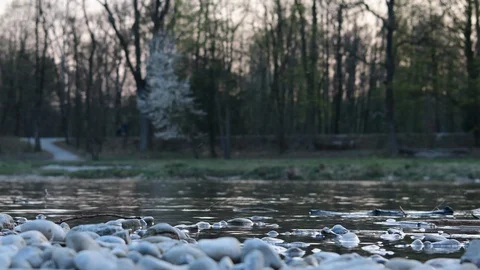 Low vantage of a couple running in a park, with rippling water in the foregro Stock Footage 128537482