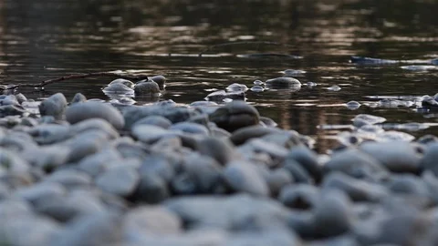 Low vantage loop real time shot of the spring sunset on a river, blurred pebbles Stock Footage 128470655