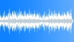 Low Vibrancy Acoustic Folk and Country Music Incidental BGM in C major Stock Music