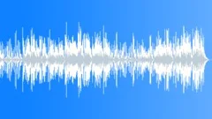 Low Vibrancy Calm Acoustic Folk and Country Music Incidental Underscore Stock Music