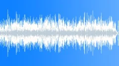 Low Vibrancy Folk and Country Music Underscore in G majorStock Music