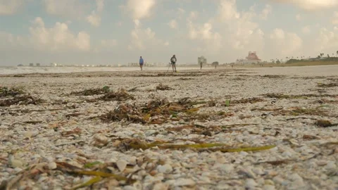 Low View angle view looking north in the early morning sun over the green foregr Stock Footage 281962695