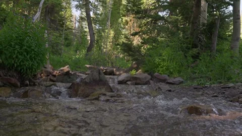 Low view of creek Video stock 246874525