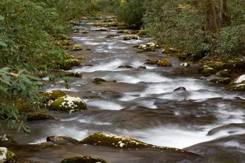 Low view down a rushing mountain stream in a fall landscape with moss Stock Photos