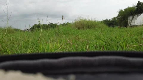 Low view of a meadow with a white wall on the right Stock Footage 278962480