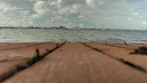 Low view over pallet on beach towards Boca Ciega Bay Aquatic Preserve. From shor Stock Footage 281962130