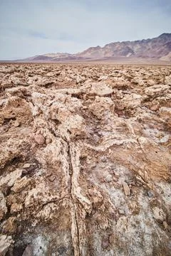 Low view of salt flat eroded salt formations in Death Valley 写真素材