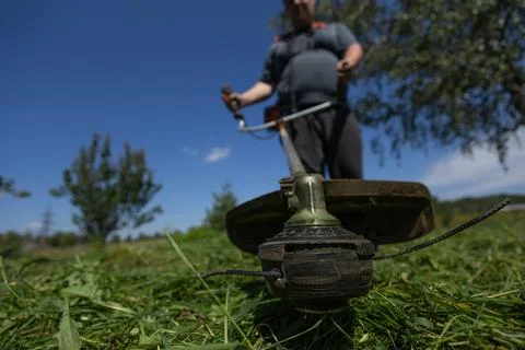 Low viewing angle. On a clear day, a man mows the grass in his backyard with a Stock Photos