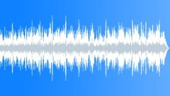 Low Vigour Acoustic Folk and Country Music Underscore with Fiddle (violin) Stock Music