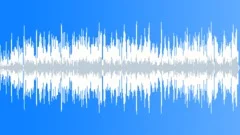Low Vitality Acoustic Music in Eb major with Smokey and cool b3 organ Stock Music