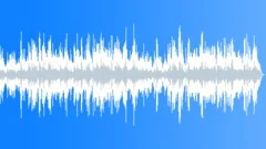Low Vitality Acoustic Music in G minor with Calm fiddle (violin) Stock Music