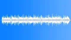 Low Vitality Exceptional music with Hawaiian pedal steel guitarStock Music