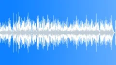 Low Vitality Modest Acoustic Music with Guitar and tenor saxophoneStock Music