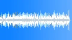Low Vivacity Acoustic Bolero Music in D minorStock Music