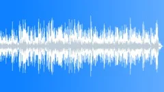 Low Vivacity Acoustic Incidental Background MusicStock Music