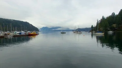 Low to water deep cove drone Stock Footage 99698167