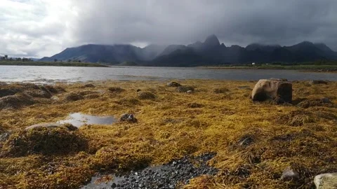 Low water Stock Footage 167238350