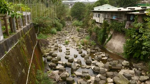 Low water at riverbed, mountain area, tiny flow of the waters between stones Stock Footage 49802296