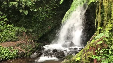 Low waterfall in the middle of the forest Stock Footage 223989673