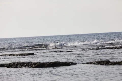 Low waves on the shore of a beach High quality Stock Photos