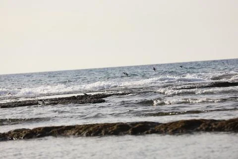 Low waves on the shore of a beach High quality Stock Photos