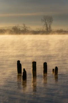 Low Winter Fraser River Mist vertical Stock Photos