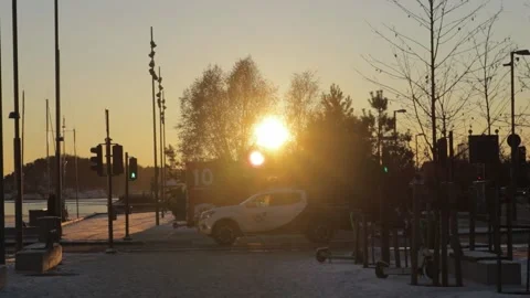 Low Winter Sun Shining Through Trees Near Oslo Waterfront Stock Footage 339819201
