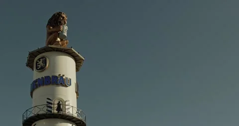 Lowenbraw's lion Stock Footage 221846467