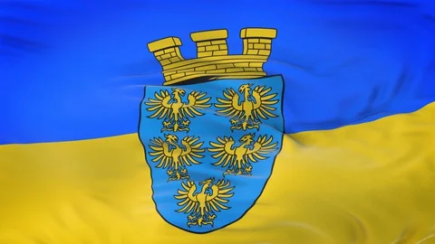 Lower Austria (state of Austria) flag waving in the wind with detailed texture. Video stock 129388035