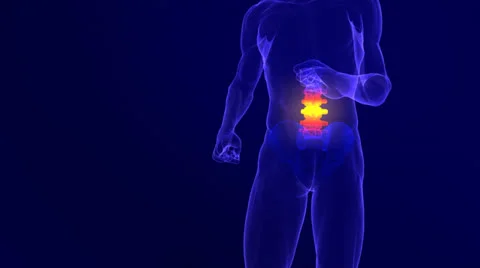 Lower back pain Stock Footage 25273718