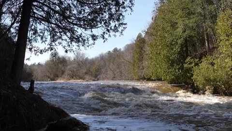 Lower Cato Falls Stock Footage 305095306