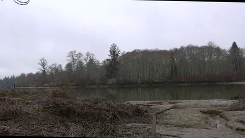 Lower Chehalis River in winter Olympic Peninsula Stock Footage 83767524