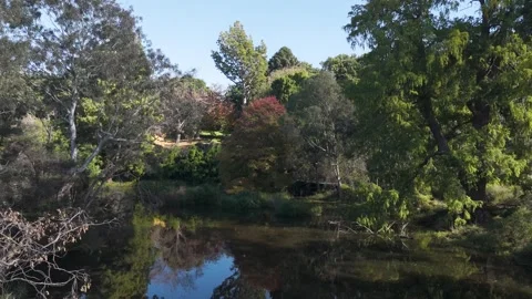 Lower Down Toward Lake Between Trees On Sunny Day Stock Footage 274605068