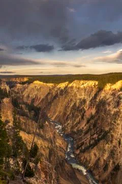 Lower Fall and River viewed from Artist Point, Grand Canyon at Yellowstone Stockfoto's