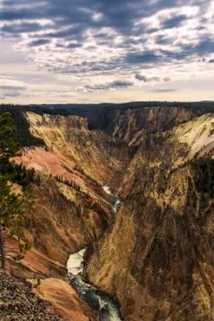 Lower Fall and River viewed from Artist Point, Grand Canyon at Yellowstone Stockfoto's