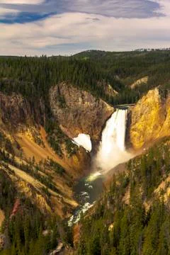 Lower Fall and River viewed from Artist Point, Grand Canyon at Yellowstone Fotos Stock