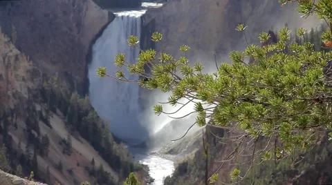 Lower Falls Yellowstone Video stock 65767820