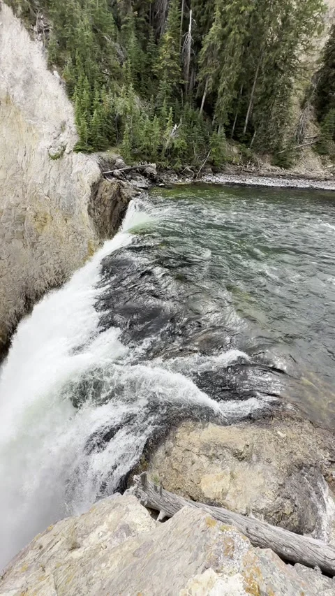 Lower Falls Of The Yellowstone Stock-Footage 250545741