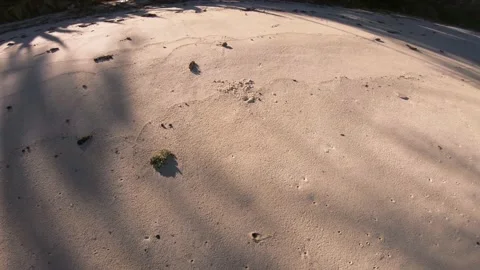 Lower floor ground close up dramatic circle around view of white sand beach Stock Footage 157791516