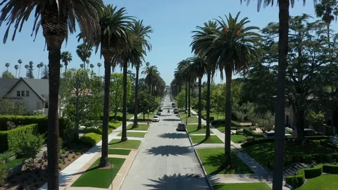 Lower flying backwards over iconic palm tree lined residential street in LA Stock Footage