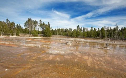 Lower geyser basin Stock Photos
