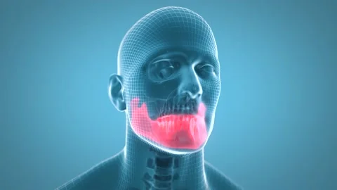 Lower Jaw Stock Footage 154658604