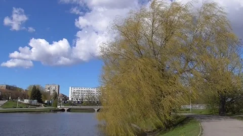 Lower Lake of Kaliningrad Vidéo 128901317