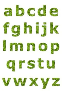 Lower letter of green lichen Stock Illustration