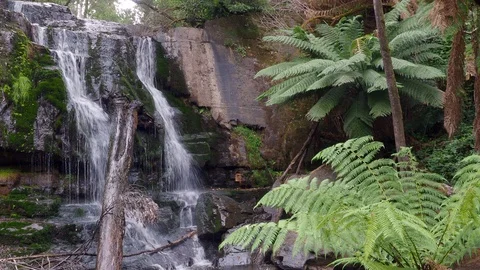 Lower Lillydale Falls Stock Footage 119992691