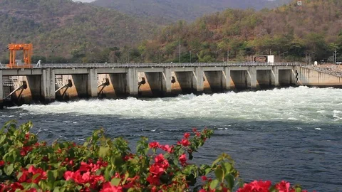 Lower Mae Ping Dam with flower in Tak province,Thailand Vídeo Stock 85965852