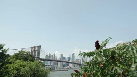 Lower Manhattan reveal between green bushes in Brooklyn Vídeos de archivo 181209577
