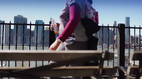 Lower Manhattan skyline. Stock Footage 65382291