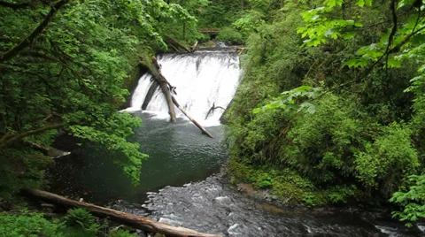Lower North Falls, Silver Falls State Park, Oregon, 30s 720p Stock Footage 35247253